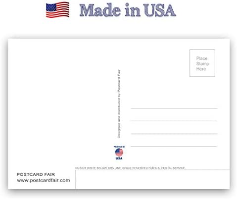 פלורידה מפת גלויה סט של 20 גלויות זהות. פלורידה מפת המדינה גלויות. תוצרת ארצות הברית.